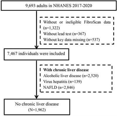 Lead exposure was associated with liver fibrosis in subjects without known chronic liver disease: An analysis of NHANES 2017–2020